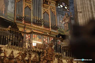 Final ciclo de órgano 2019 (3)