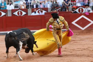 Morante de la Puebla en La Glorieta