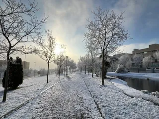 Cencellada en Salamanca, 19 de diciembre de 2023, Vistahermosa. Foto Verónica Tapia