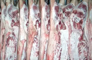 El sector agroalimentario se salva del desplome de las exportaciones de Castilla y León en los primeros meses del año