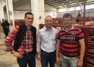 David Castaño: “Salamanca tiene que pasar de tener un mercado regional a ser referencia nacional en la venta de vacuno”