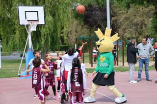 Día de Minibasket