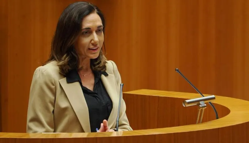 La procuradora de Unión del Pueblo Leonés (UPL), Alicia Gallego (2)