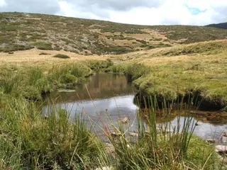 Río Corneja
