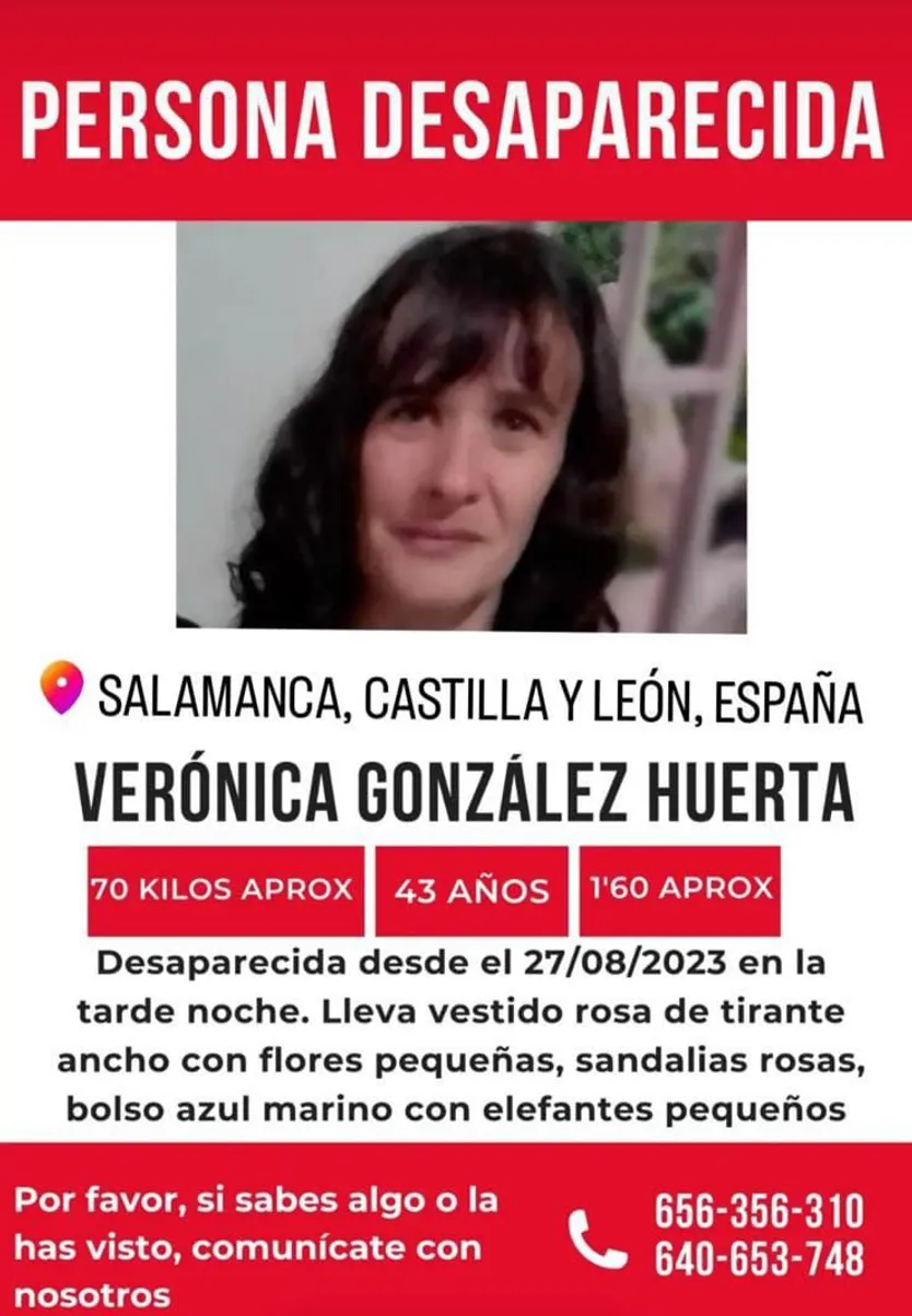 Cartel de la desaparecida