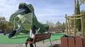 Rana en el parque de Würzburg en fotos facilitadas por el Ayuntamiento de Salamanca