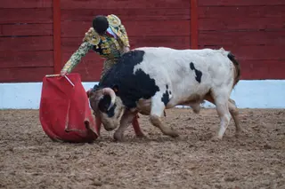 Daniel Medina ante el buen novillo de Valrubio