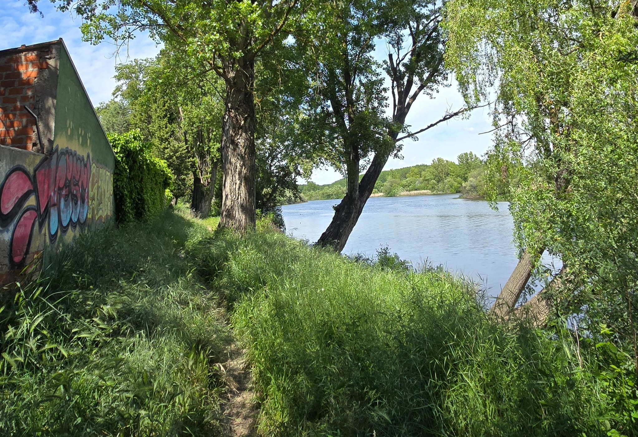 El R&iacute;o Tormes a Su Paso Por Cabrerizos En La Zona Donde Se Asienta La Poblaci&oacute;n De Cotorra De Kramer. Andrea Mateos