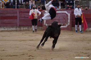 GALERÍA | Concurso de recortes en Ledesma