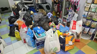Recogida por la DANA en Vega Pet Shop (1)