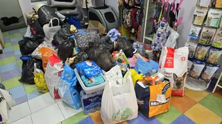 Recogida por la DANA en Vega Pet Shop (1)