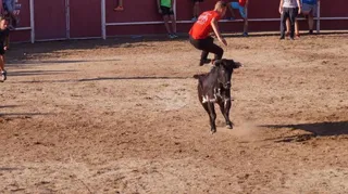 Entretenido broche taurino a las fiestas