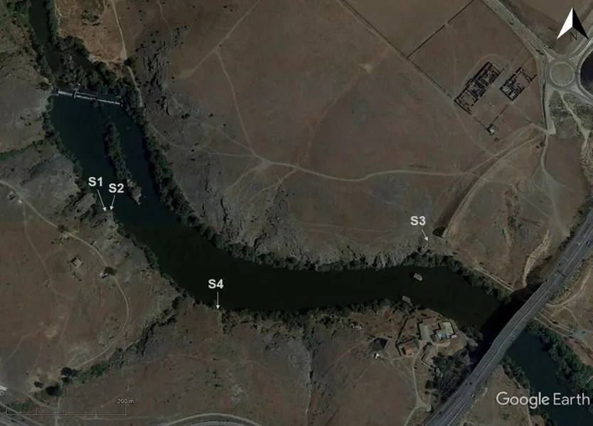 Situación de los 4 conjuntos de grabados paleolíticos localizados hasta ahora en El Paraje de La Salud (Salamanca). Foto del trabajo