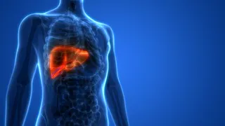 El Centro de Investigación del Cáncer desarrolla nuevos modelos experimentales para avanzar en el tratamiento del cáncer de hígado | 5