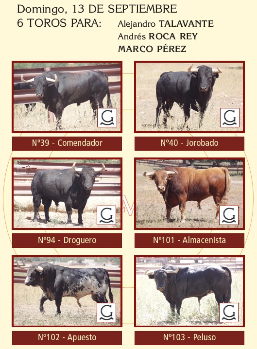 Toros De Garcigrande Rese&ntilde;ados Para La Corrida De Salamanca Del 13 De Septiembre De 2026 | La Mariseca-Juanes
