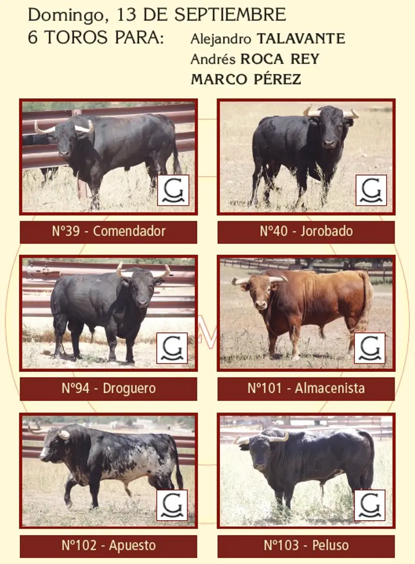 Toros De Garcigrande Reseñados Para La Corrida De Salamanca Del 13 De Septiembre De 2026 | La Mariseca-Juanes