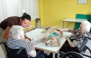 Terapia con perros en el Centro Residencial