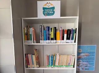 Punto de lectura en la piscina 