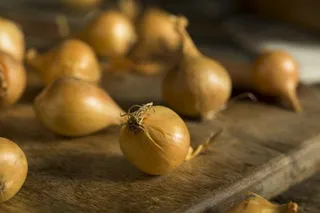 Cebolla sunion