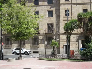 Ciudadanos del Patrimonio denuncia el deterioso en la salud y mantenimiento del arbolado urbano
