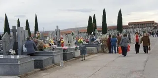 Mortalidad en Castilla y León