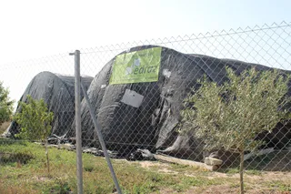 Granja de caracoles en Forfoleda (5)