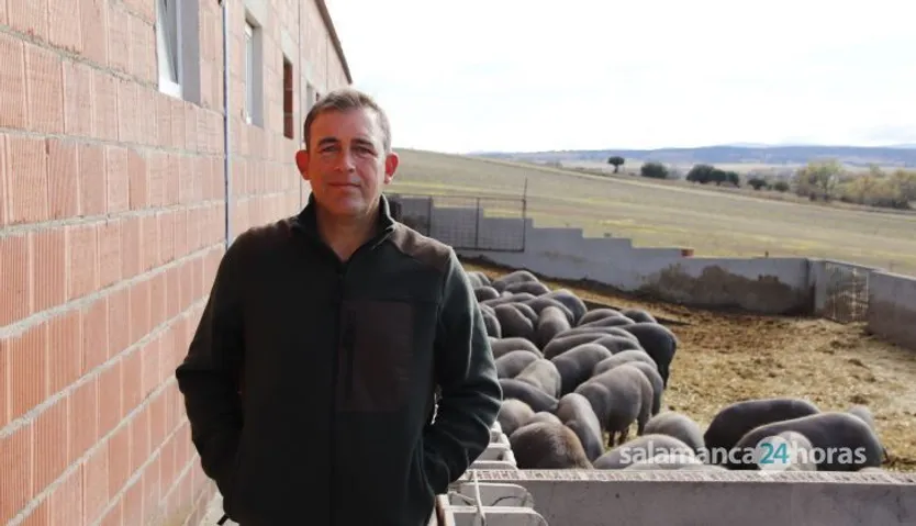 Bernardo García, ganadero salmantino dedicado a la cría de lechones y propietario de una granja porcina con madres reproductoras en Santiago de la Puebla