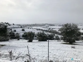 IMG 20180317 WA0066