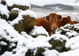 Nieve en la Sierra de Béjar