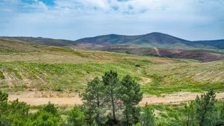 Bosque Uría en Salamanca | 