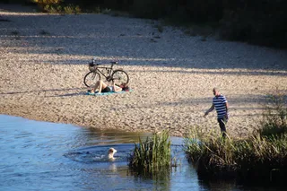 Gente, parque, otoño, calor, río, perro