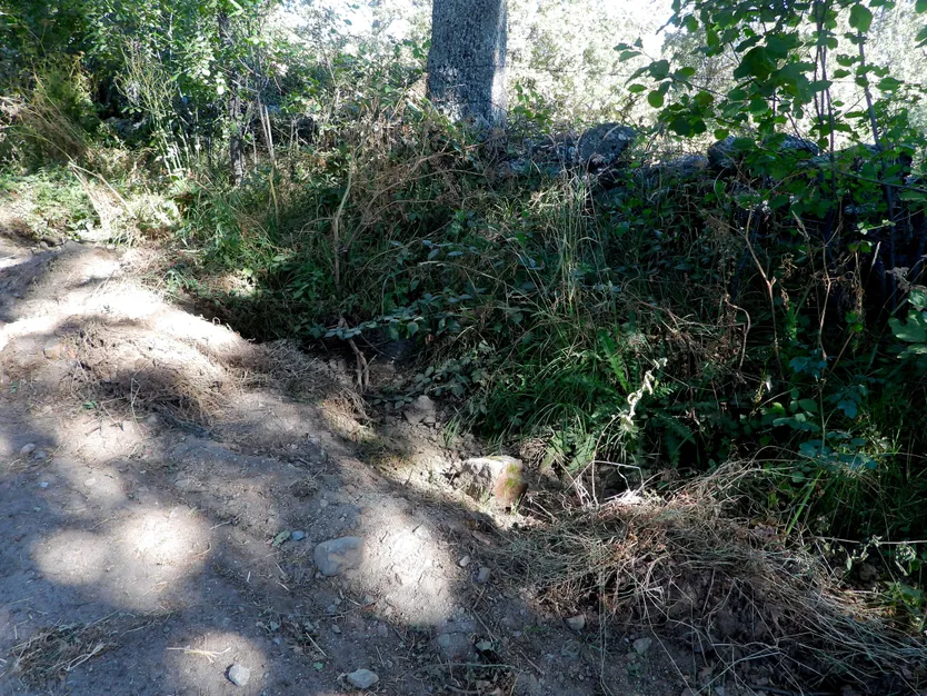 camino cerca