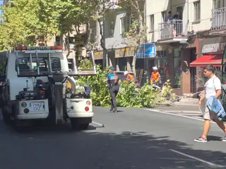 Un árbol cae sobre varios coches en Torres Villarroel | S24H