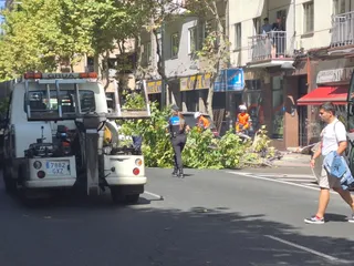 Un árbol cae sobre varios coches en Torres Villarroel | S24H