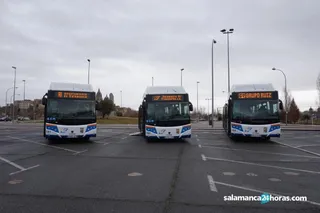 Autobuses (2)
