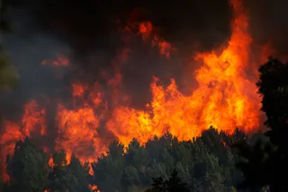 Incendio forestal en El Payo, ICAL José Vicente (7).jpg