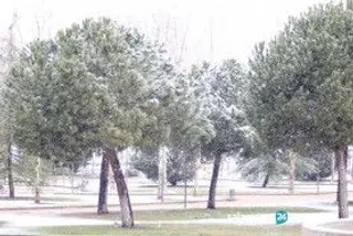 Salamanca nieve