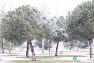 Salamanca nieve