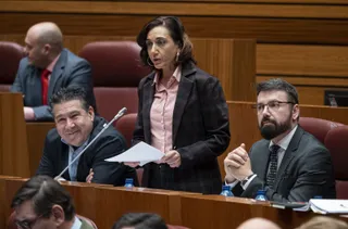 La procuradora de Unión del Pueblo Leonés (UPL), Alicia Gallego
