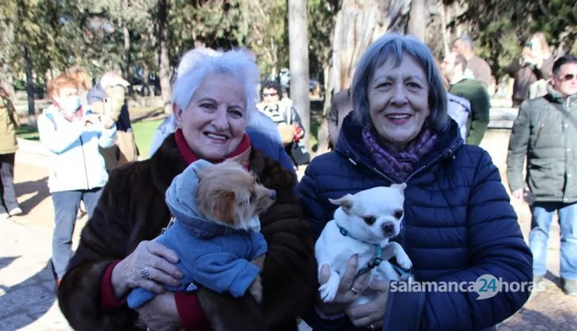 San Antón en el Campo de San Francisco