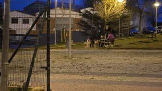 Algunos de los perros, fuera del pipican, tras decretarse el cierre del área para perro de La Prosperidad, junto al CAEM | Andrea Mateos