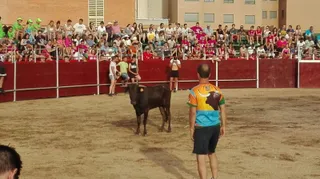Plaza de toros portátil en Villares de la Reina