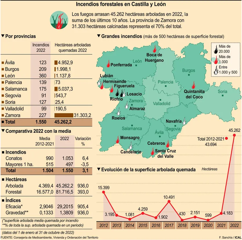 Los incendios arrasan 45.262 hectáreas arboladas en Castilla y León, la suma de una década y una superficie como Tierra de Campos. ICAL