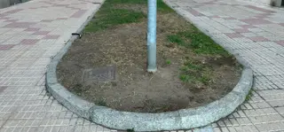 Imagen de uno de los jardines en la calle Nueva Zelanda.