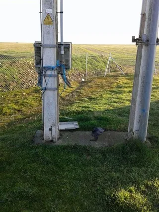Halcón electrocutado en Calvarrasa de Arriba