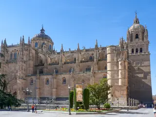 Fachada norte de la Catedral de Salamanca. Por Turol Jones