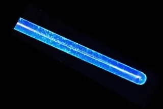 44498