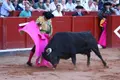 II Corrida Extraordinaria por San Juan de Sahagún en Salamanca: Morante de la Puebla, Daniel Luque y Marco Pérez