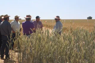 Agricultores campo