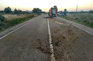 ZAMORA